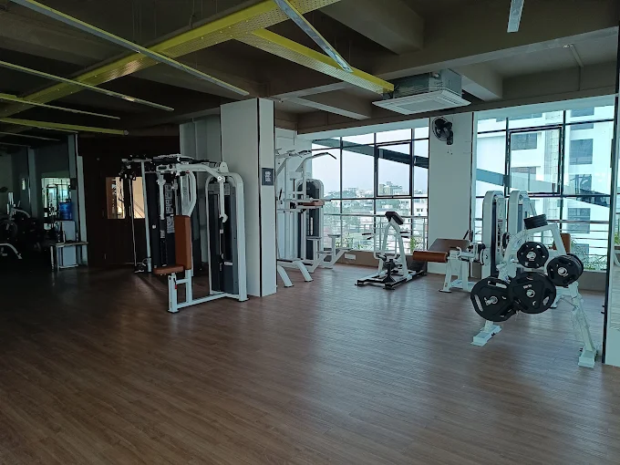Avis Fitness Studio